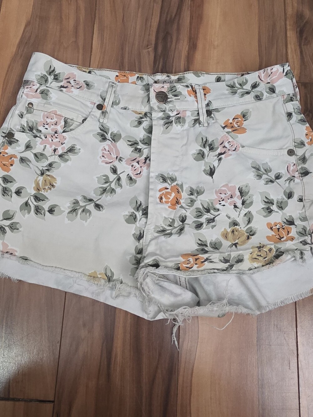 Citizens Of Humanity Floral Shorts Size 26